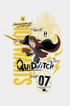 Poster de artă Harry Potter - Quidditch 07