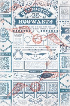 Kunstafdruk Harry Potter - Quidditch at Hogwarts