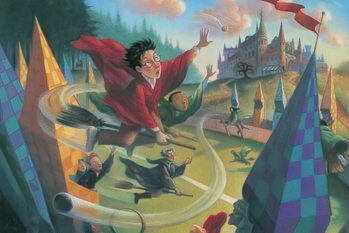 Kunstafdruk Harry Potter - Quidditch