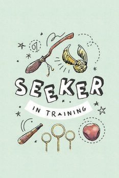 Art Poster Harry Potter - Seeker in training
