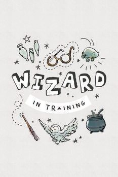 Kunstplakat Harry Potter - Veiviser i trening