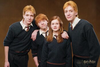 Umělecký tisk Harry Potter - Weasley family