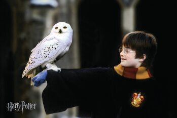 Konsttryck Harry Potter with Hedvig