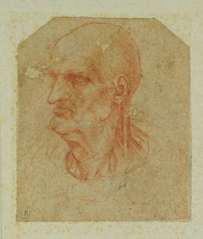 Kunstdruk Head of a beardless old man, left profile