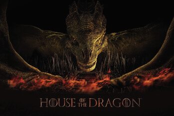 Kunstafdruk House of the Dragon - Dragon's fire