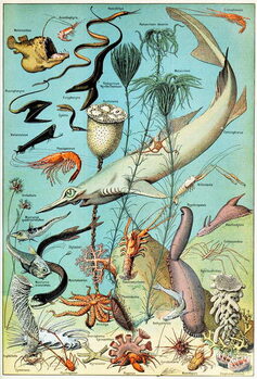 Reproducción de arte Illustration of a Deep sea underwater scene c.1923
