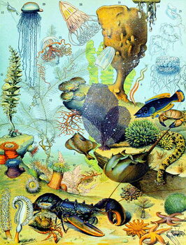 Reproducción de arte Illustration of an underwater scene c.1923