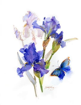 Umelecká tlač Iris with blue butterfly, 2016,