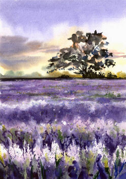 Illusztráció Lavender field and tree.