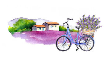 Illusztráció Lavender flowers, bicycle with bouquet in