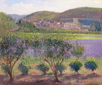 Kunstdruk Lavender Seen Through Quince Trees, Monclus