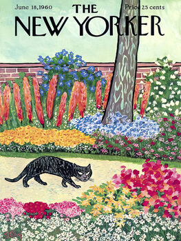 Illustration Magazine Cover 09