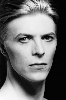 Photographie artistique MAN WHO FELL TO EARTH