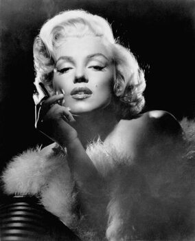 Umělecká fotografie Marilyn Monroe 1953