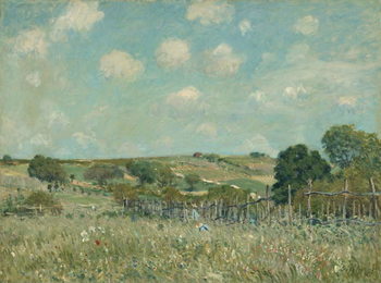Konsttryck Meadow, 1875