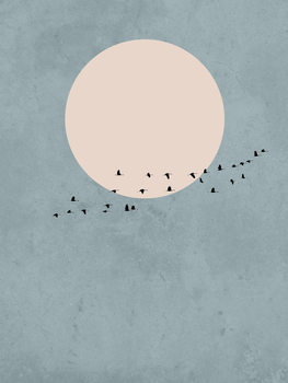 Illustrazione moonbird1