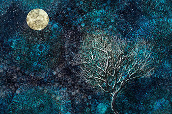 Kunstafdruk Moonlit winter tree against a starry sky