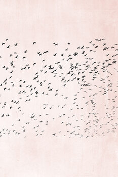 Ilustrare Moving On