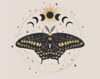 Ilustrácia Mystic gold moth isolated vector illustration.