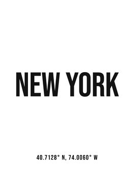 Ilustracija New York simple coordinates