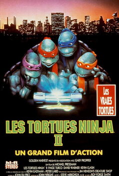 Obrazová reprodukce Ninja Turtles II, 1991
