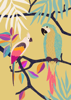 Illustrazione Parrots