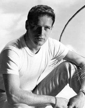 Kunstdruk Paul Newman In The 50'S