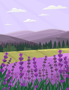 Illusztráció Provence landscape with lavender field. Countryside