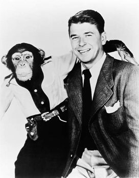 Umelecká fotografie Ronald Reagan And Bonzo, Hollywood, California, 1951