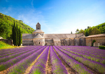 Illustration Senanque Abbey (Provence, France)