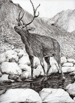 Konsttryck Stag, 2011,