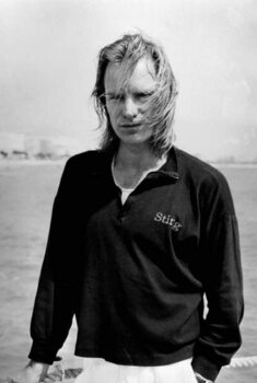Fotografia Sting,1988