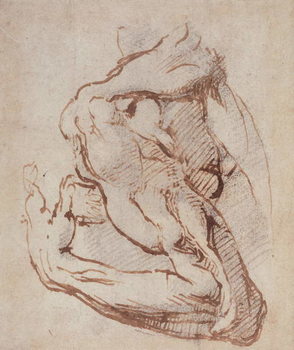Reproducción de arte Study of an Arm (ink) Inv.1859/5/14/819