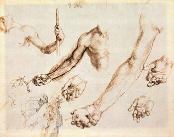 Konsttryck Study of male hands and arms