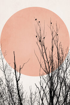 Ilustrare Sunset Dreams