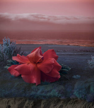 Konsttryck Surreal Giant flower rose