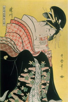 Festmény reprodukció Takigawa from the Tea-House, Ogi