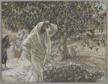 Reproducción de arte The Accursed Fig Tree, illustration from 'The Life of Our Lord Jesus Christ', 1886-94