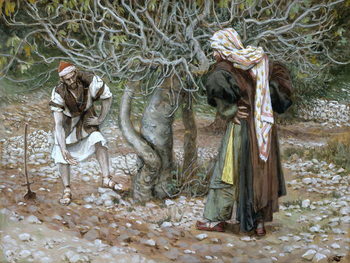 Reproducción de arte The Barren Fig Tree, illustration for 'The Life of Christ', c.1886-94