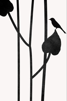 Ilustracja The Bird