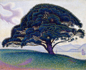 Umelecká tlač The Bonaventure Pine, 1893