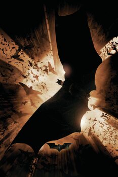 Poster de artă The Dark Knight Trilogy - Bat Wings