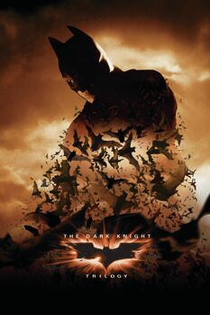 Druk artystyczny The Dark Knight Trilogy - Bats