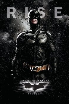 Umjetnički plakat The Dark Knight Trilogy - Rise