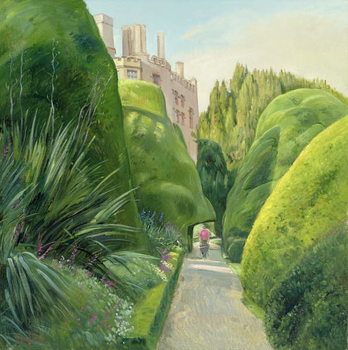 Obrazová reprodukce The Topiary Path, Powis Castle