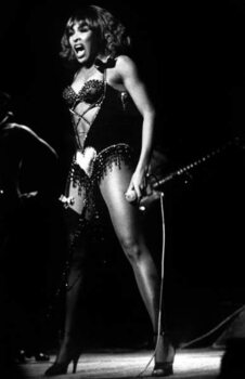 Obrazová reprodukce Tina Turner