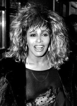 Konstfotografering Tina Turner