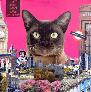 Stampa artistica Urban cat, 2015,