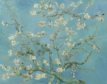 Konsttryck Vincent van Gogh - Almond Blossoms