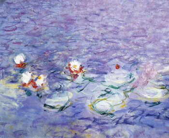 Reproducción de arte Water Lilies